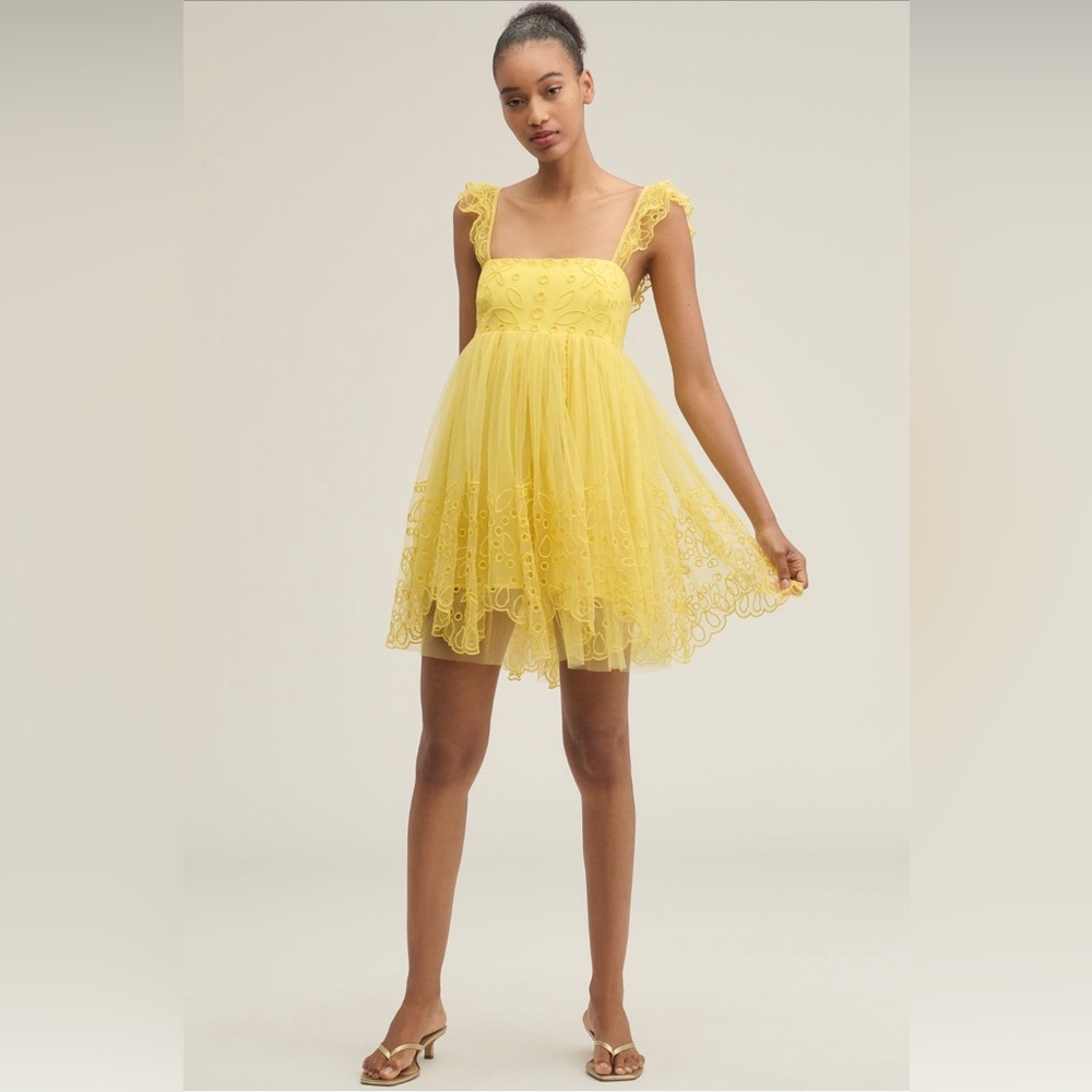 Let Me Be Eyelet Tulle Mini Dress
